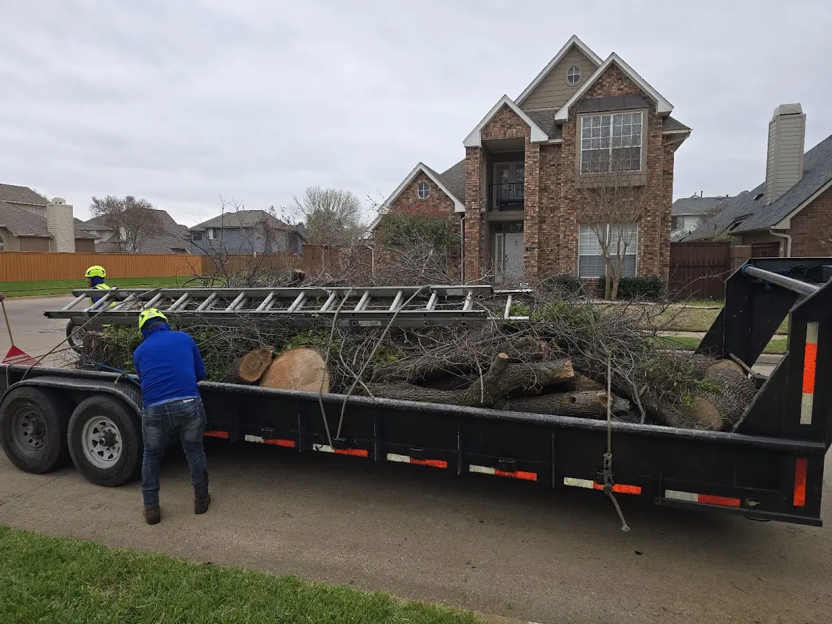 Expert Crown Reduction with proper safety equipment in Cedarville
